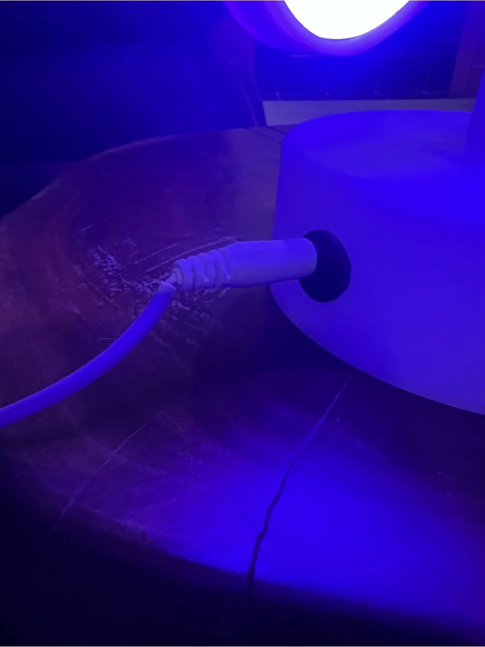 Neon Butterfly LED Accent Light - White/Blue Glow